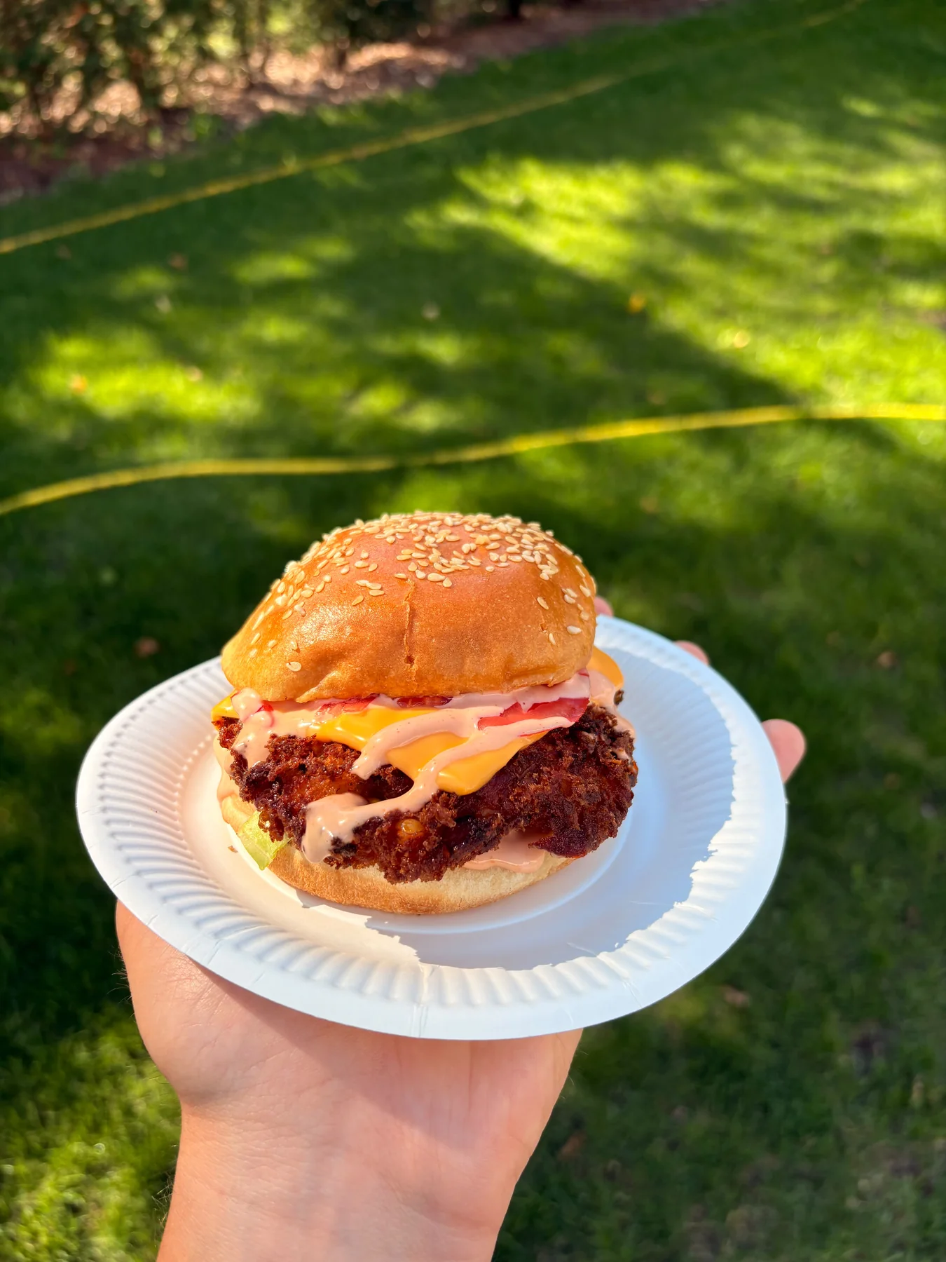 Knuspriger Chicken Burger mit Käse und Sauce auf einem Teller vor einer grünen Wiese